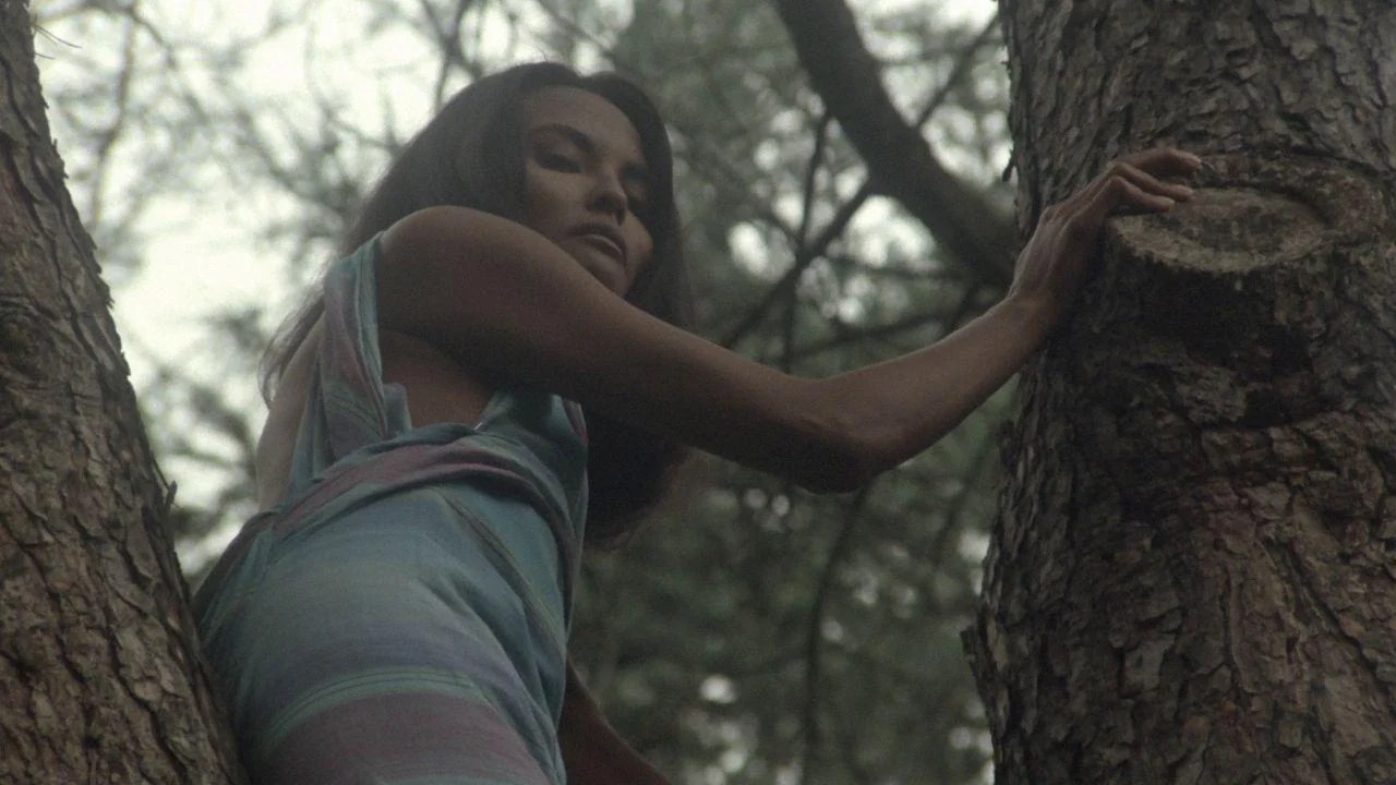 Фильм Похоть (1985)