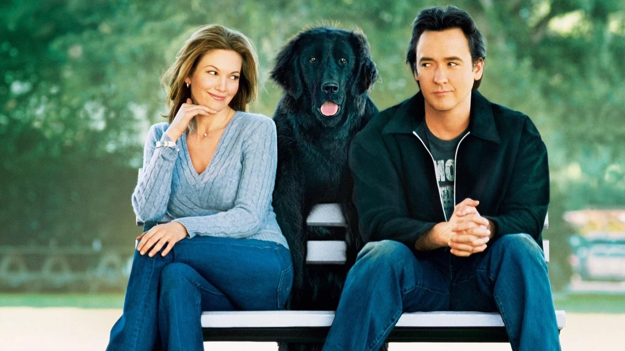Фильм Любовь к собакам обязательна (2005)