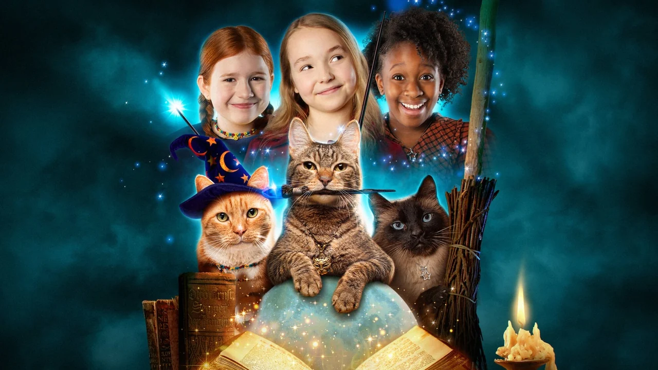 Сериал Пугливые кошки (1 сезон)