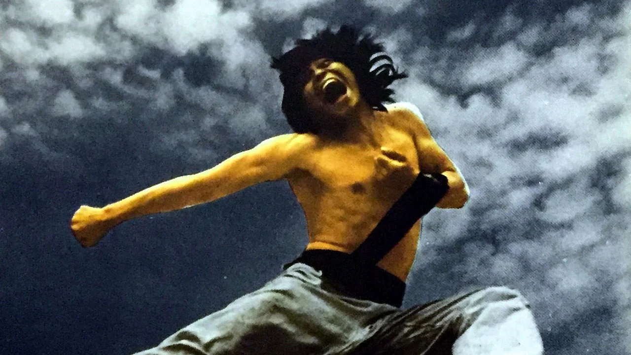Фильм История о каратисте, кулаке и фасоли (1973)