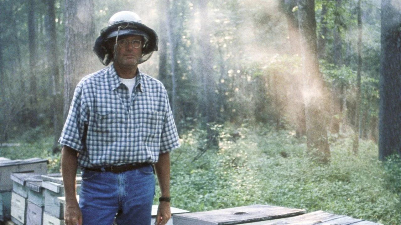Фильм Золото Ули (1996)