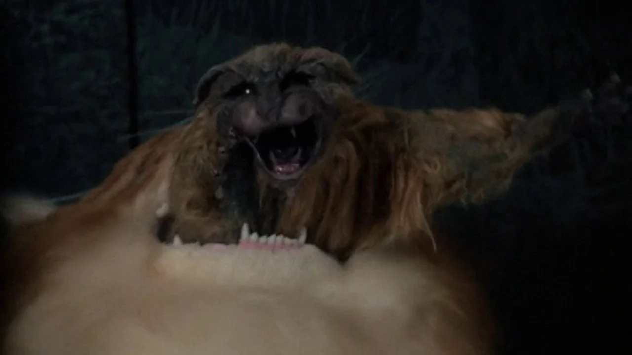 Фильм Незваный (1988)