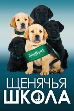 Фильм Щенячья школа (2018)