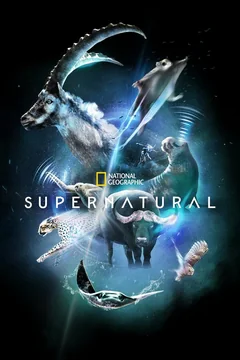 Сериал Сверх/Естественное (1 сезон)