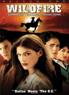 Сериал Дикий огонь (1-4 сезон)